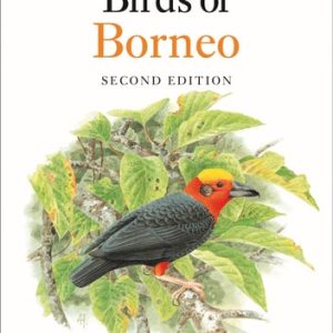 Field Guide to the Birds of Borneo (An Unofficial Gamer's Adventure) (2nd Edition)