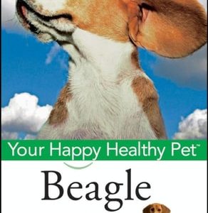 Beagle (Your Happy Healthy Pet) (2nd Edition)