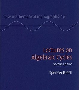 Lectures on Algebraic Cycles (2nd Edition)