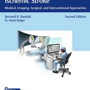 Hemorrhagic and Ischemic Stroke (Medical, Imaging, Surgical, and Interventional Approaches) (2nd Edition)