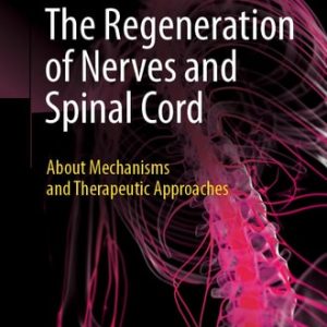 The Regeneration of Nerves and Spinal Cord (About Mechanisms and Therapeutic Approaches) (2024th Edition)