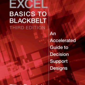 Excel Basics to Blackbelt (An Accelerated Guide to Decision Support Designs) (3rd Edition)