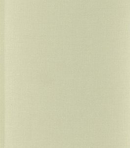 Still Moving (Between Cinema and Photography)