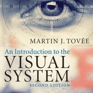An Introduction to the Visual System (2nd Edition)