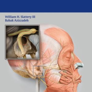The Facial Nerve