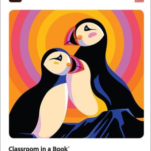Adobe Illustrator Classroom in a Book (2022 release) (1st Edition)