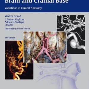 Vasculature of the Brain and Cranial Base (Variations in Clinical Anatomy) (2nd Edition)