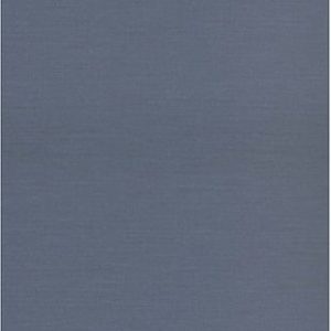 Nation and Migration (The Politics of Space in the South Asian Diaspora) (2016th Edition)