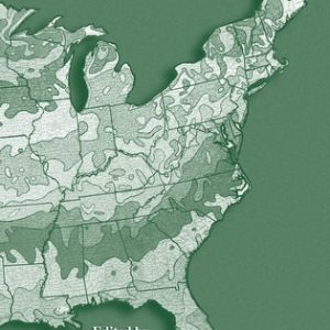 Urban and Community Forestry in the Northeast (2nd Edition)