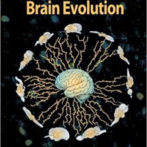Principles of Brain Evolution (1st Edition)