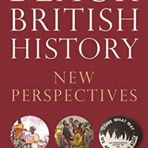 Black British History (New Perspectives)
