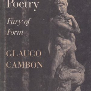 Michelangelo's Poetry (Fury of Form)