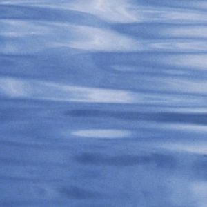 Labor Visions and State Power (The Origins of Business Unionism in the United States)