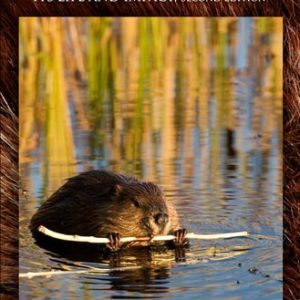 The Beaver (Natural History of a Wetlands Engineer) (2nd Edition)