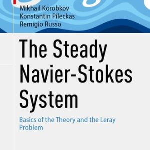 The Steady Navier-Stokes System (Basics of the Theory and the Leray Problem) (2024th Edition)