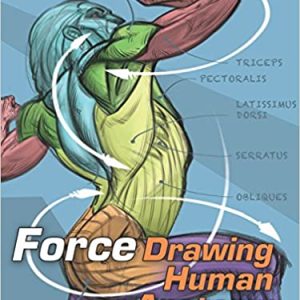 FORCE: Drawing Human Anatomy