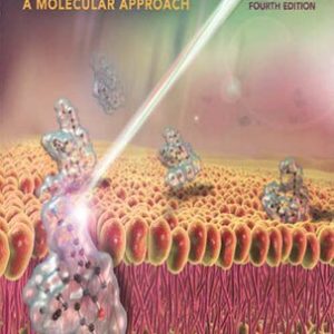 Principles of Chemistry; A Molecular Approach (4th Edition)