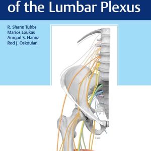Surgical Anatomy of the Lumbar Plexus