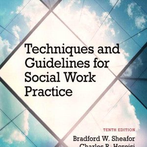 Techniques and Guidelines for Social Work Practice (10th Edition)