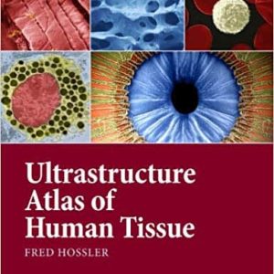 Ultrastructure Atlas of Human Tissues