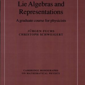 Symmetries, Lie Algebras and Representations A Graduate Course for Physicists (1st Edition)
