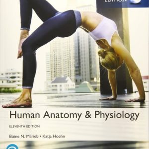 Human Anatomy & Physiology, Global Edition (11th Edition)