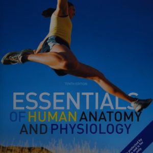 Essentials of Human Anatomy and Physiology (10th Edition)