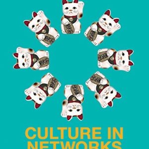 Culture in Networks (1st Edition)