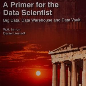Data Architecture: A Primer for the Data Scientist: Big Data, Data Warehouse and Data Vault (1st Edition)