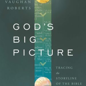 God's Big Picture Tracing the Storyline of the Bible (1st Edition)