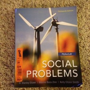 Social Problems (1st Edition)