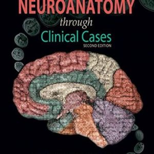 Neuroanatomy through clinical cases (2nd Edition)