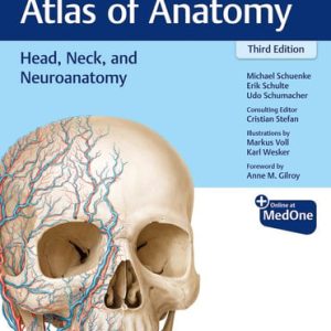 Thieme atlas of anatomy. Head, neck, and neuroanatomy (3rd Edition)