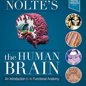 Nolte's the human brain: an introduction to its functional anatomy (8th Edition)